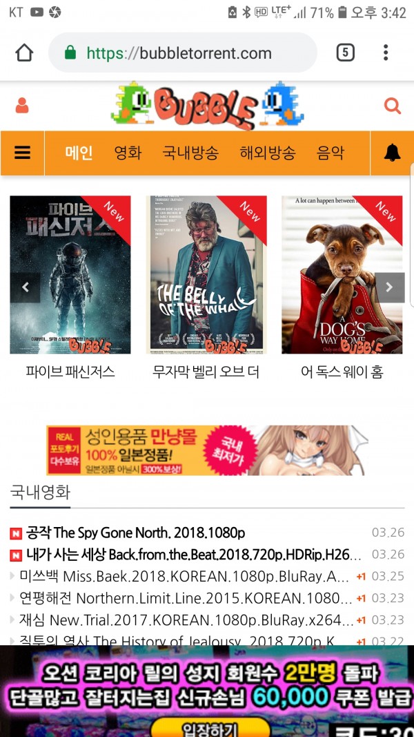 보글보글토렌트